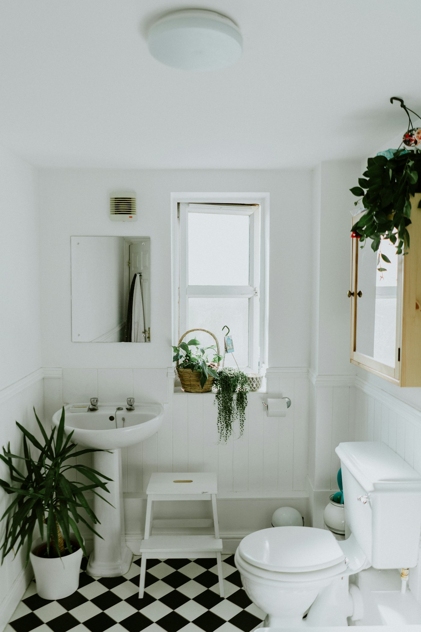 Accessible bathrooms detail